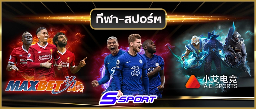  kamo-18 banner-sport
